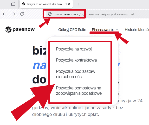 Oferta PaveNow
